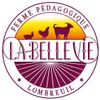 Logo of the association ferme la belle vie